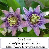Sell Passion Flower Extract /Vitexin from China