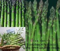 Asparagus Extract