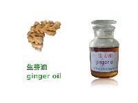Ginger oil,SPA oil