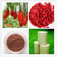 Wolfberry Fruit Extract with Polysaccharides 50%