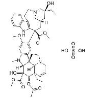 Vinblastine sulfate