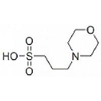 3-Morpholinopropanesulfonic acid (MOPS)