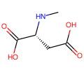 N-Methyl-D-Aspartic Acid