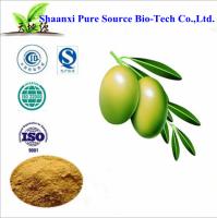 Olive Leaf extract for anti-oxidation/anti-UV