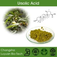 Ursolic Acid 25%