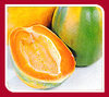 Papaya Fruit Juice Powder