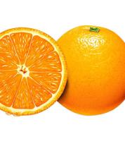 Citrus Aurantium Extract Synephrine 30% and 98%