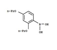 2,4-Dipropoxyphenylboronic acid