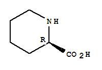 2-piperidine carboxylic acid