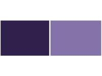 Violet (blue phase) PV23（HA-2302A /Organic pigment ink）