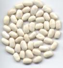 Kidney Bean Extract(CAS:85085-22-9)