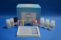 Diethylstilbestrol ELISA Test Kit