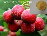 Hawthorn Berry P.E (Hawthorn Fruit P.E or Hawthorn P.E or Maybush Extract)