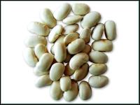 White Kidney Bean extract /seed extract / Phaseolin	/plant extract