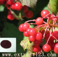 Cranberry extract /fruit extract /