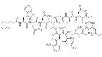 Daptomycin (Inject grade) CAS:103060-53-3