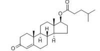 Testosterone isocaproate 15262-86-9