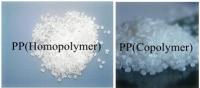 PP(Copolymer/Homopolyme)