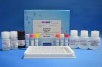 Ciprofloxacin ELISA Test Kit