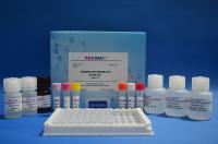 Chlortetracycline ELISA Test Kit