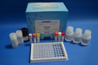 Salbutamol ELISA Test Kit