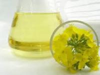 Rapeseed Oil for Cooking