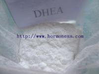 Oral Steroids Testosterone Acetate for Male Muscle Gain