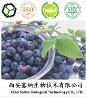 Bilberry extract powder/25% antioxidant