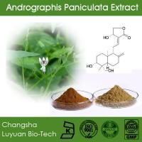 CAS 5508-58-7 Andrographolide 98% Andrographis Paniculata Extract