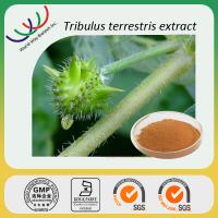 tribulus terrestris extract powder