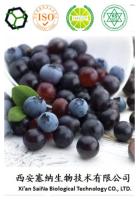 Super Antioxidant 100% natural plant extract Acai berry extract