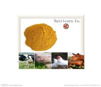 Corn Gluten Meal Feed Additive for Chicken Animal feed additives