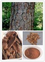 antioxidant pine bark opc95%