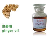 Spice Oil,Pure Natural Ginger Oil,Food additive oil,CAS 8007-08-7
