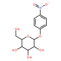p-Nitrophenyl-β-D-Galactopyranoside