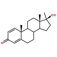 Methandrostenolone (Dianabol, methandienone)