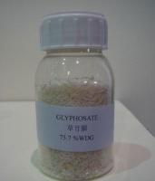 Sell Glyphosate 95% TC, 50% SP, 75.7% WDG
