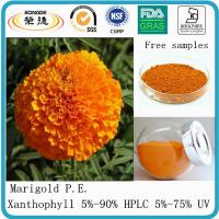 Marigold extract-Xanthophyl