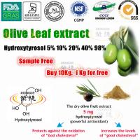 Olive leaf extract- Hydroxytyrosol