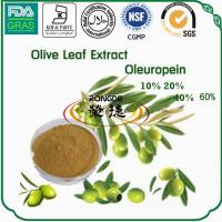 Olive leaf extract- oleauropein