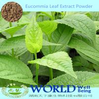 Hot Selling 20%-30% Chlorogenic Acid Eucommia Extract Powder/Eucommia Leaf Extract /Eucommia Chlorogenic Acid