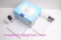 Glucose Assay Kit--REAGEN(USA)