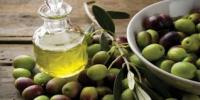 Olive extract