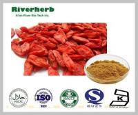 Chinese Wolfberry fruit extract with 40% Polysaccharides