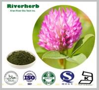 Natural Red clover extract with 8% Isoflavones