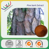 pine bark extract