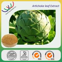 artichoke extract