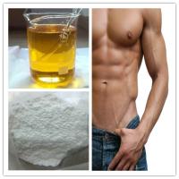 17-Alpha-Methyl-Testosterone muscle building powder