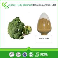 Factory Supply Broccoli P.E. sulforaphane