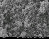 Nano Nickel Oxide